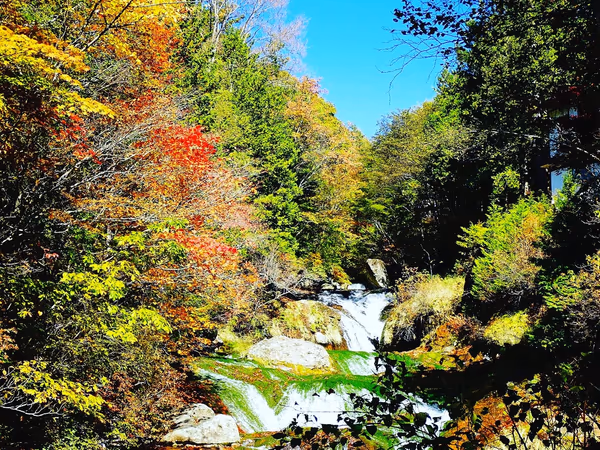 投稿：紅葉のおしどり隠しの滝