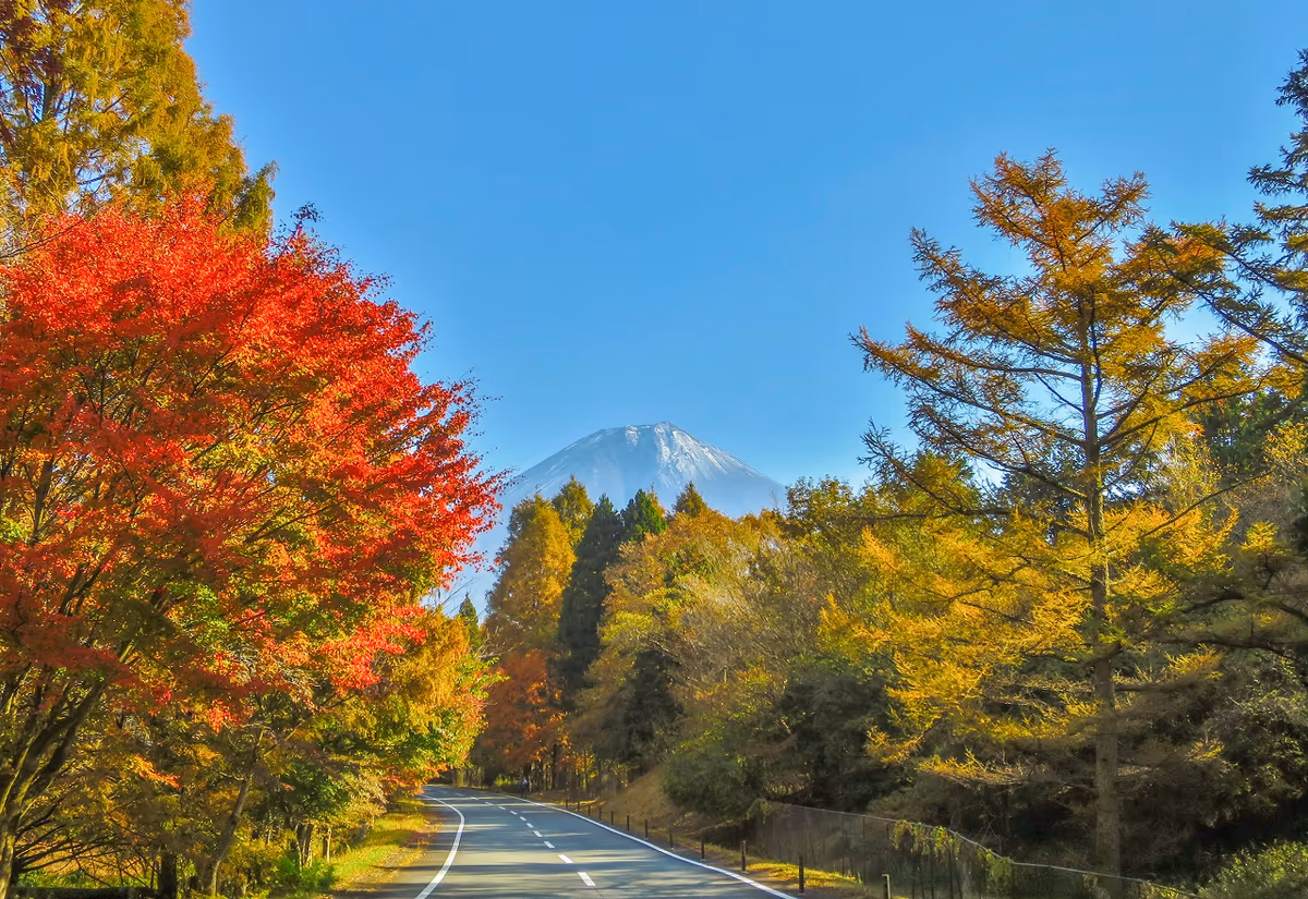 投稿写真：紅葉富士