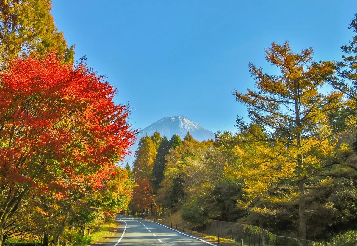 投稿写真：紅葉富士