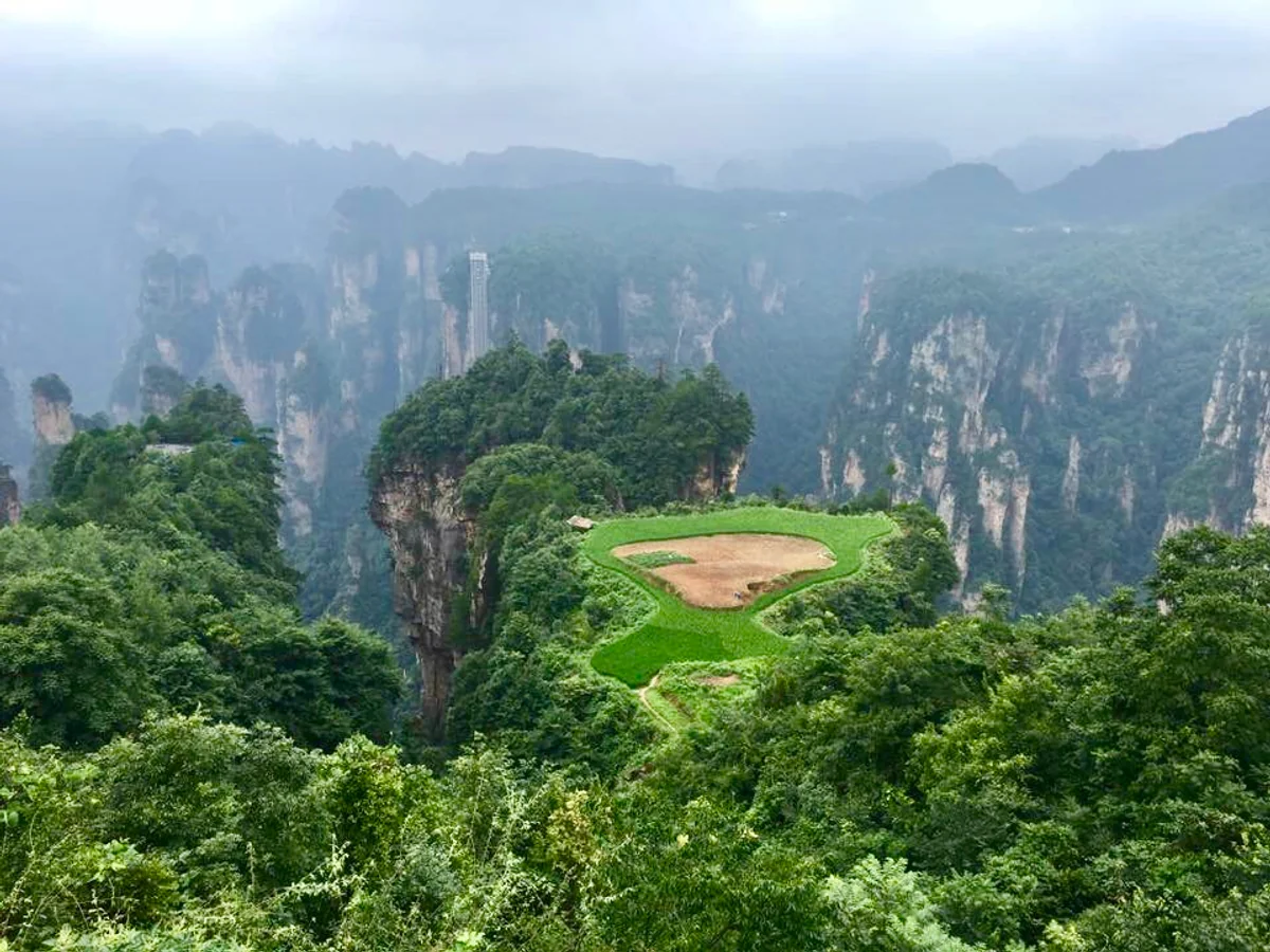 投稿写真：空中田園
