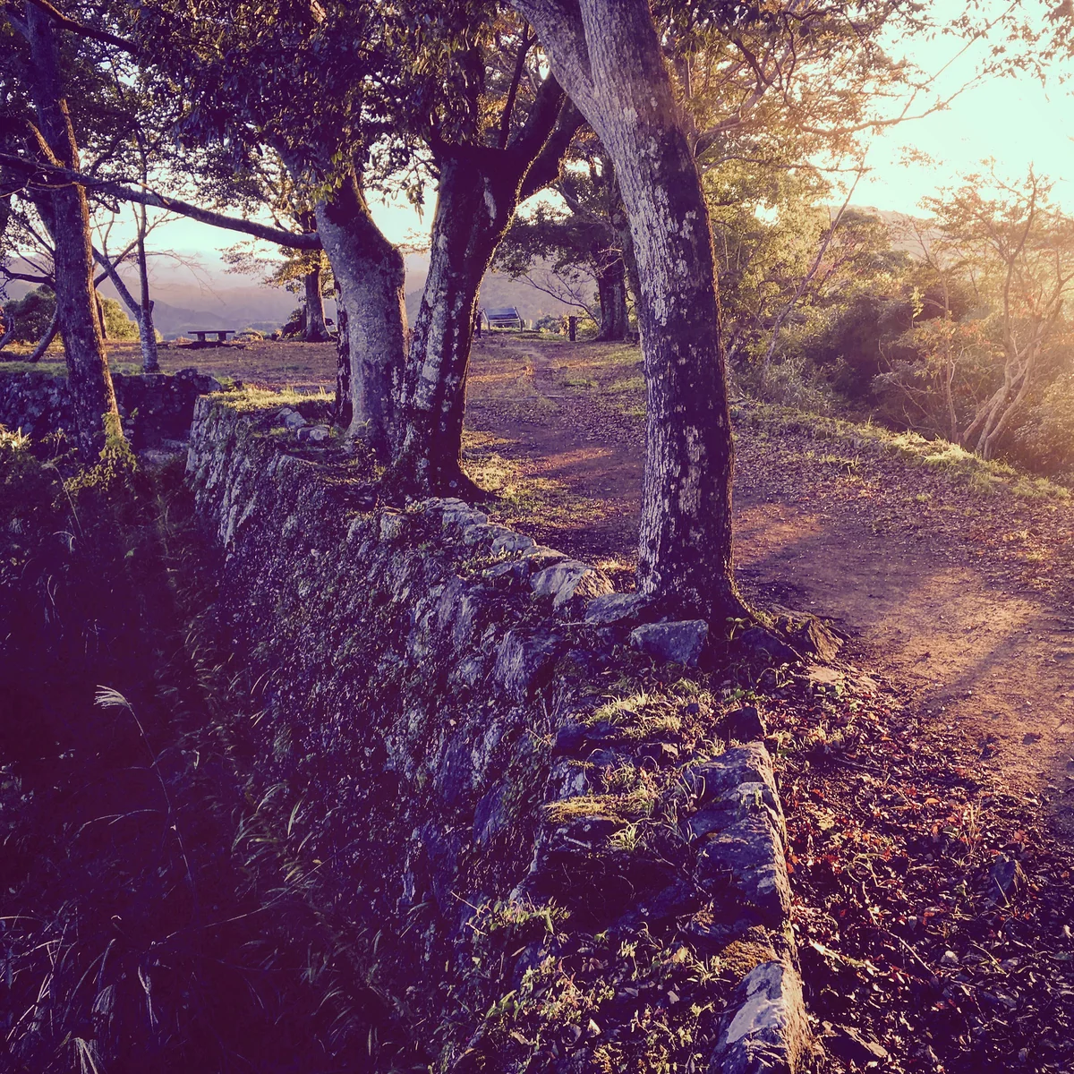 投稿写真：佐伯城