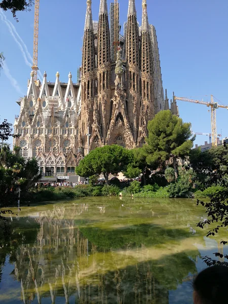 投稿：サグラダ・ファミリア