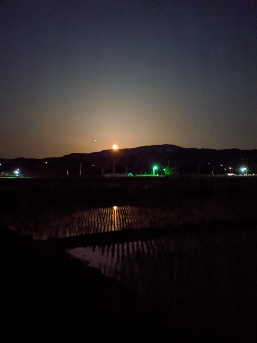 投稿写真：月山上月