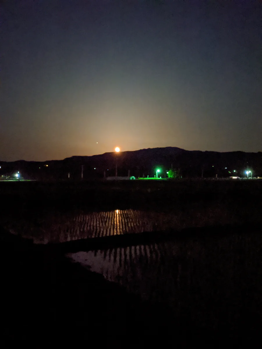 投稿写真：月山上月