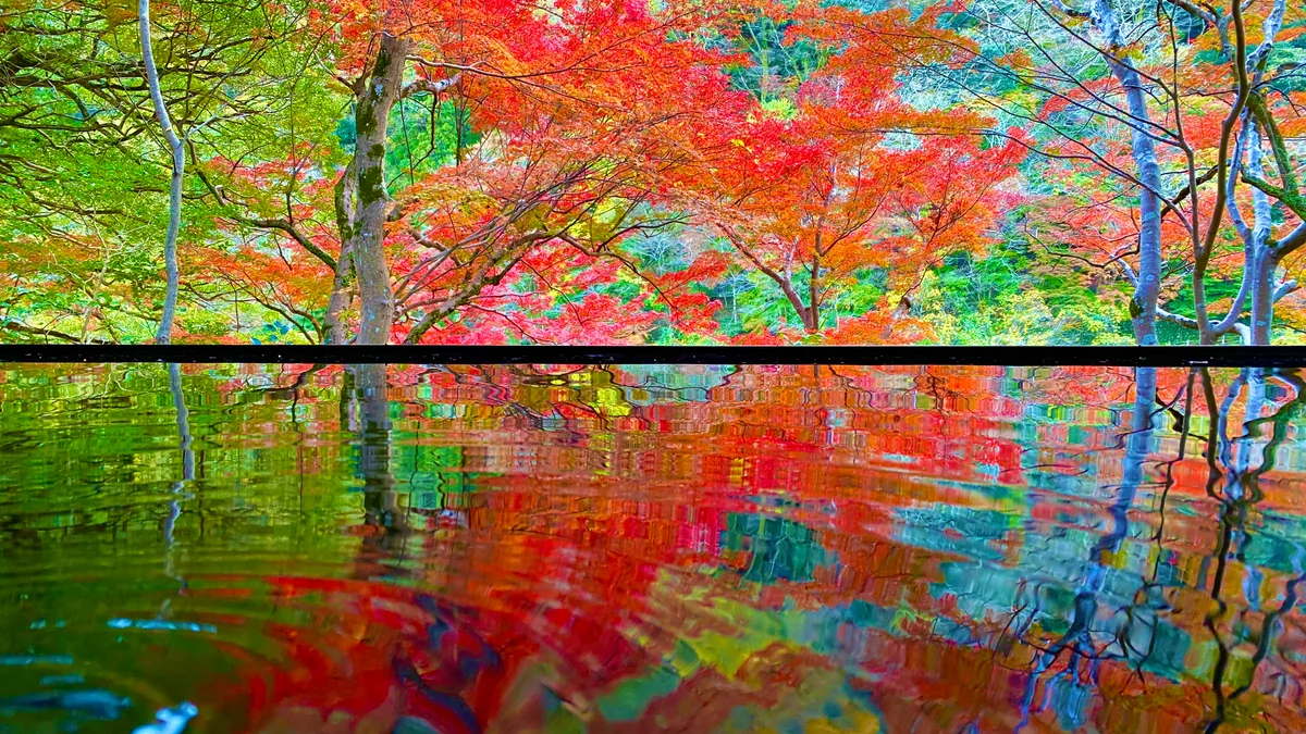 投稿写真：佑斎亭