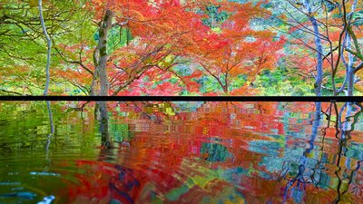 | 絶景事典