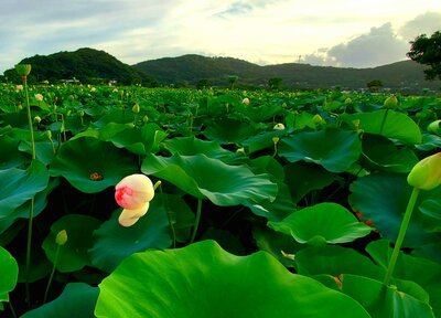  | 絶景事典