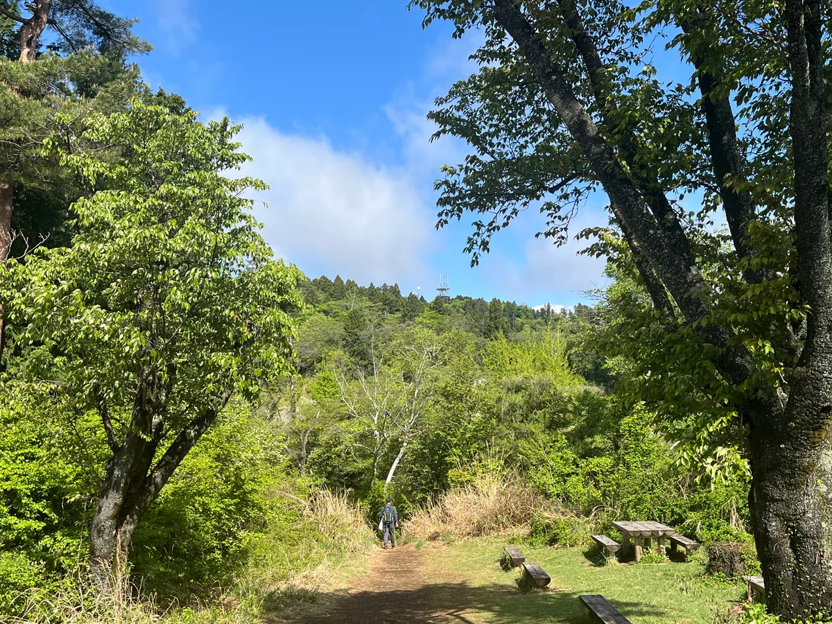 投稿写真：新緑の小仏城山