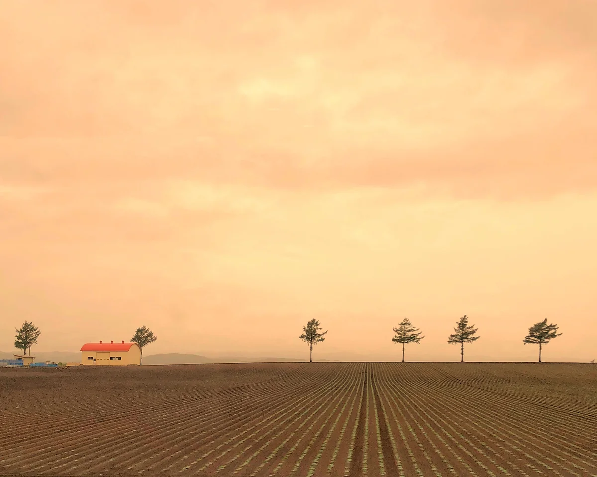 投稿写真：北海道　メルヘンの丘