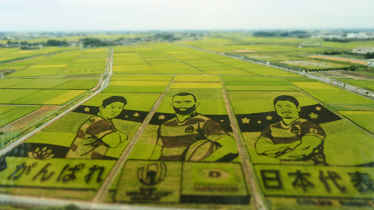 投稿写真：埼玉　たんぼアート　2019