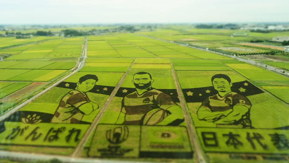 投稿写真：埼玉　たんぼアート　2019