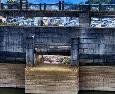  | 絶景事典