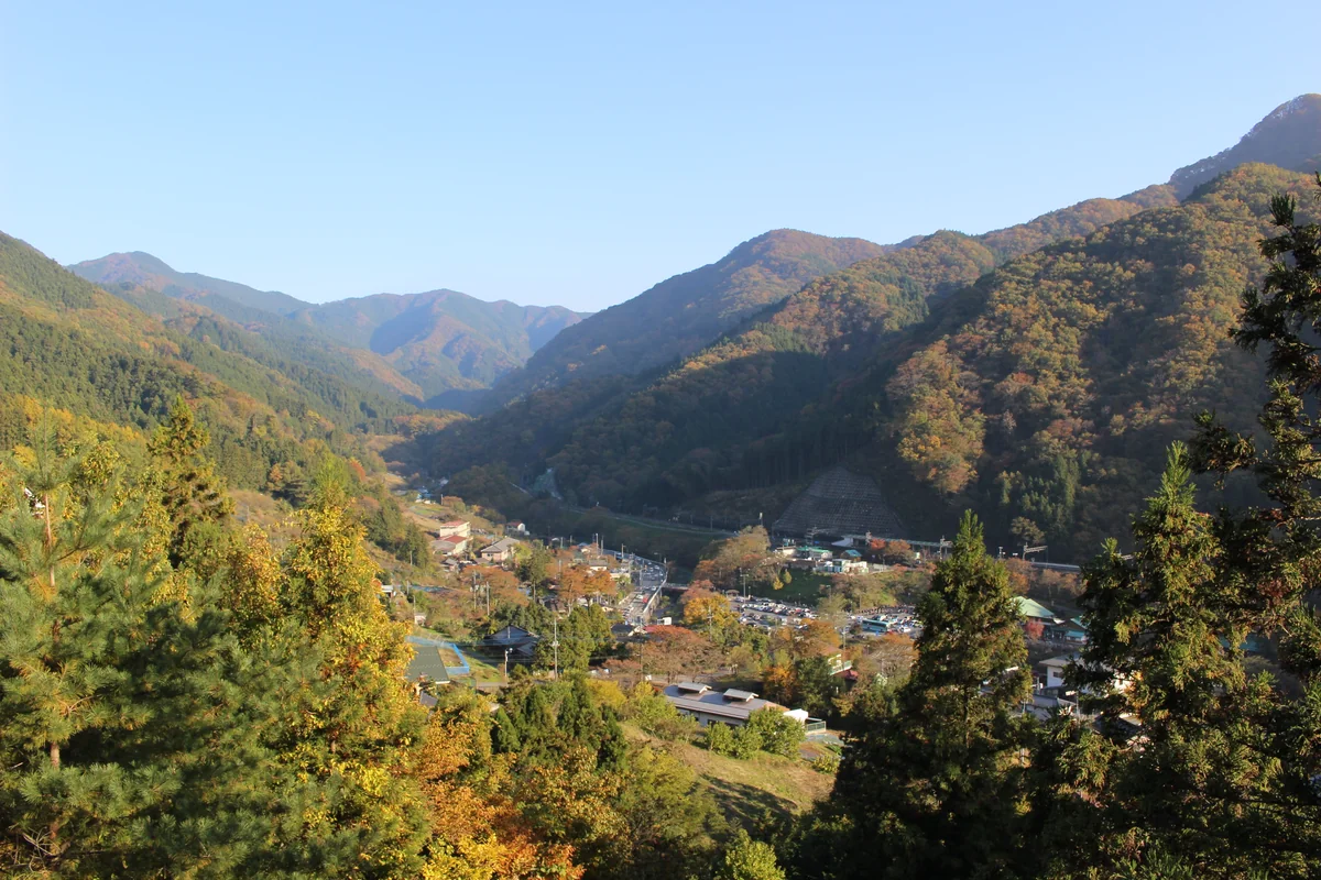 投稿写真：秩父・芦ヶ久保