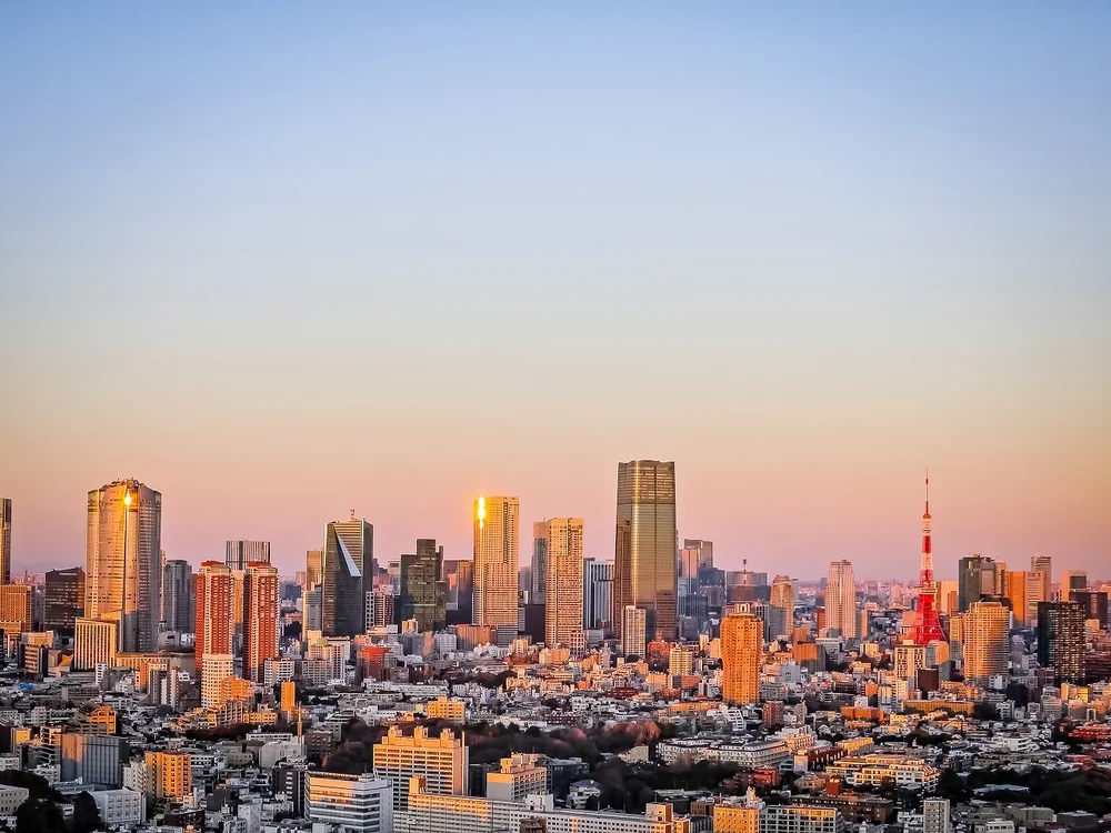 投稿写真：西日に染まる超高層ビル群と東京タワー