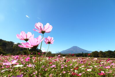  | 絶景事典