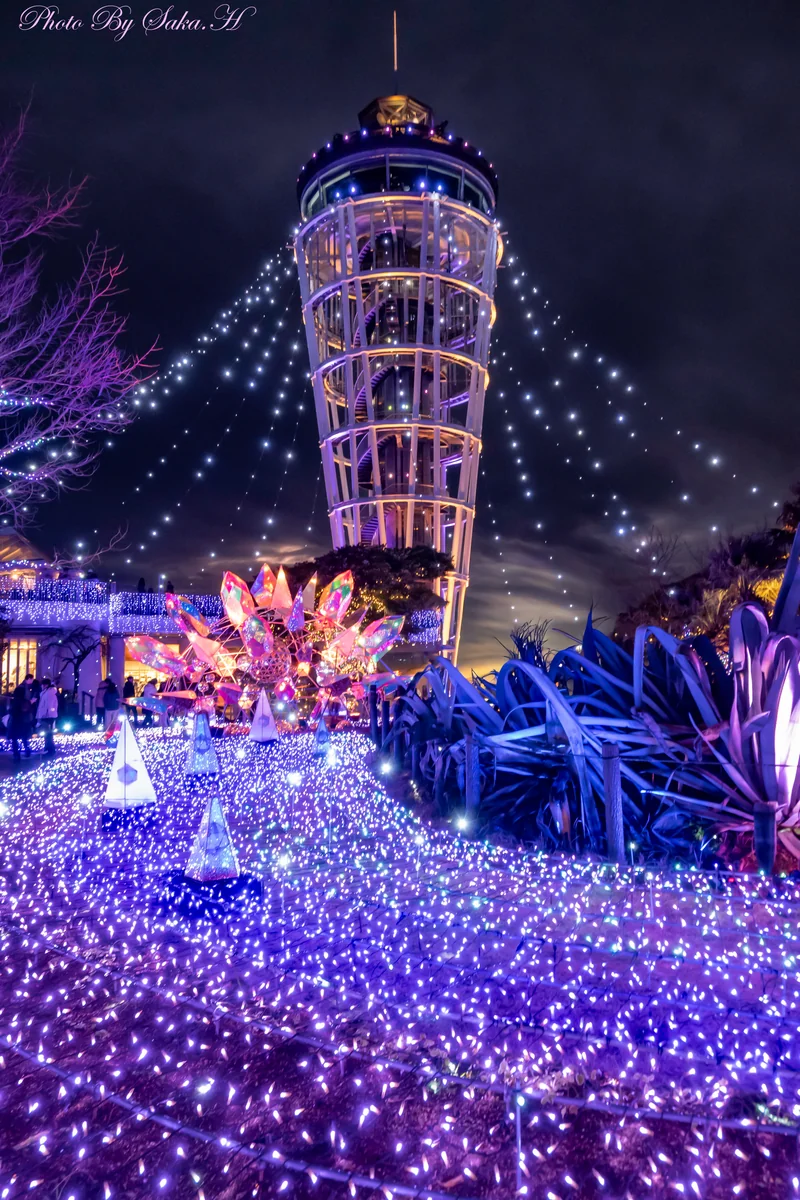 投稿写真：湘南の宝石