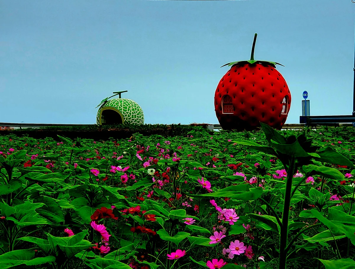 投稿写真：フルーツバス停🚏🚌