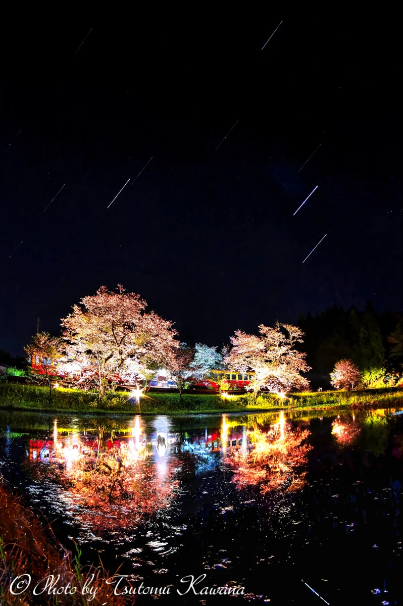 投稿写真：夜桜鏡列車、春の星たちの饗宴♪