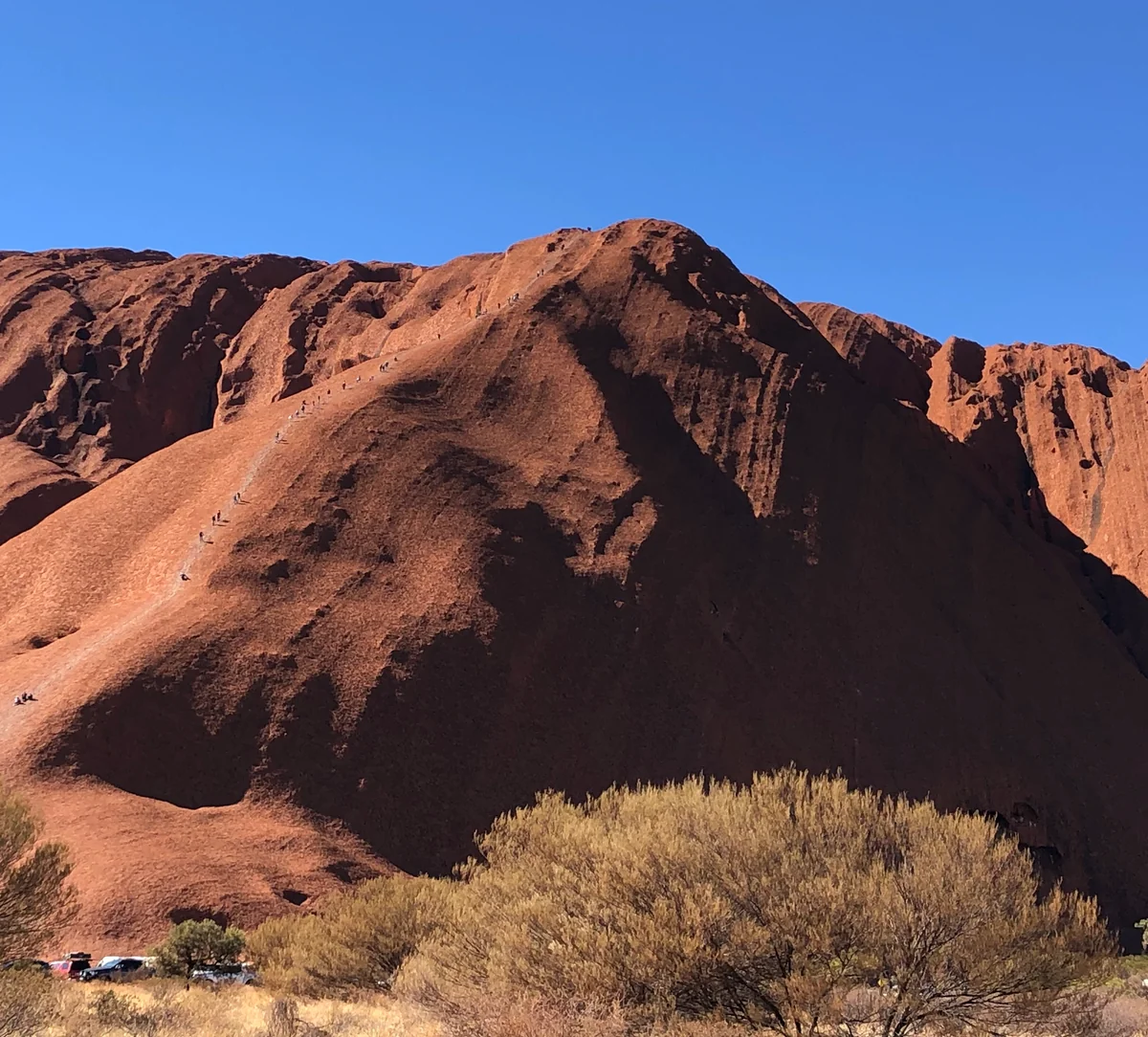 投稿写真：ウルルに登る人の列