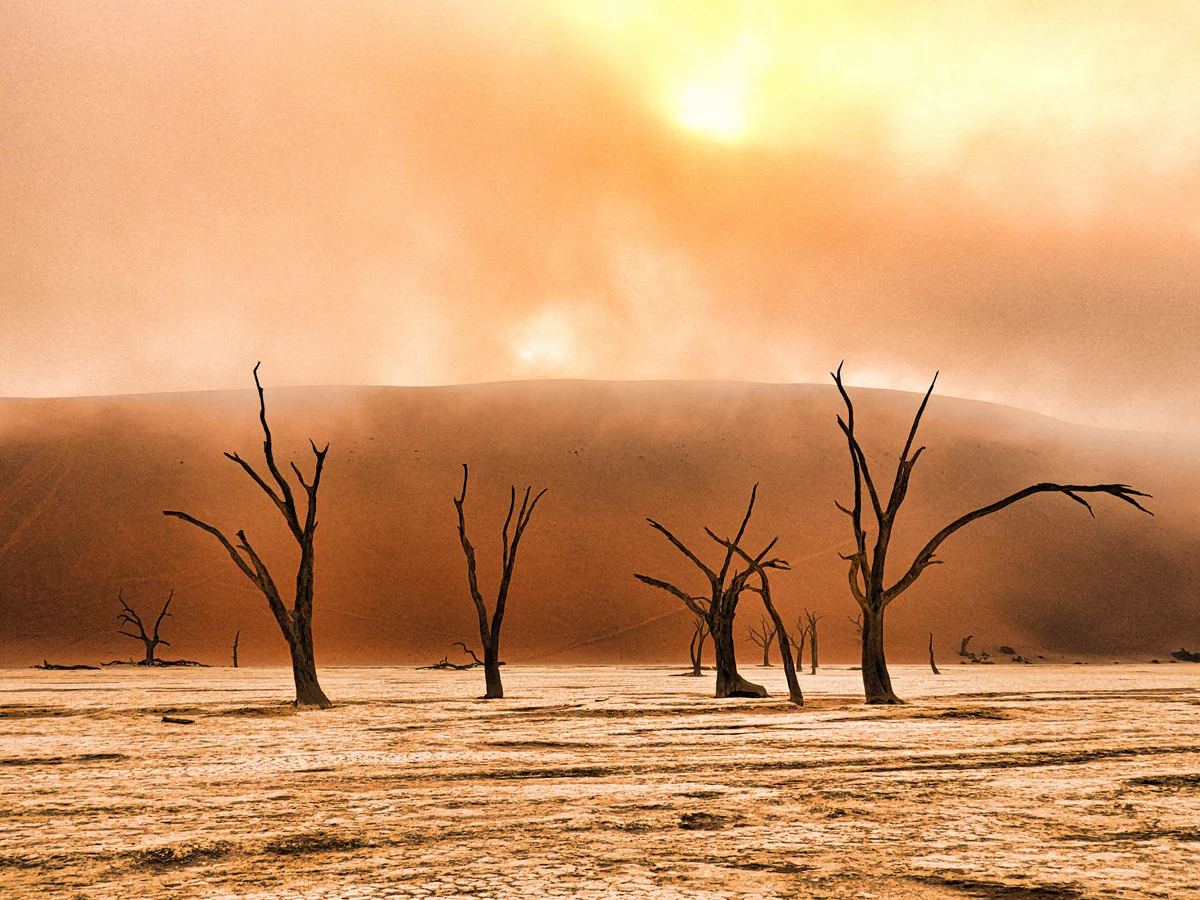 投稿写真：デッドフレイ　霧と朝日