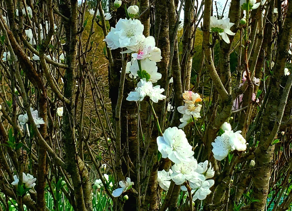 千夏さんの投稿写真