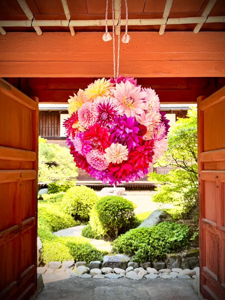 投稿写真：花の寺🌼岡寺