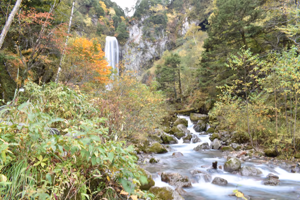 投稿：秋の平湯大滝