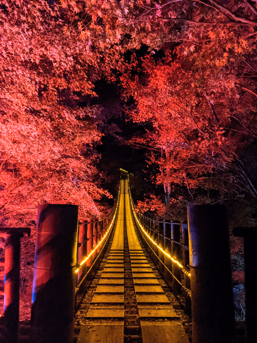 投稿写真：花貫渓谷紅葉まつり
