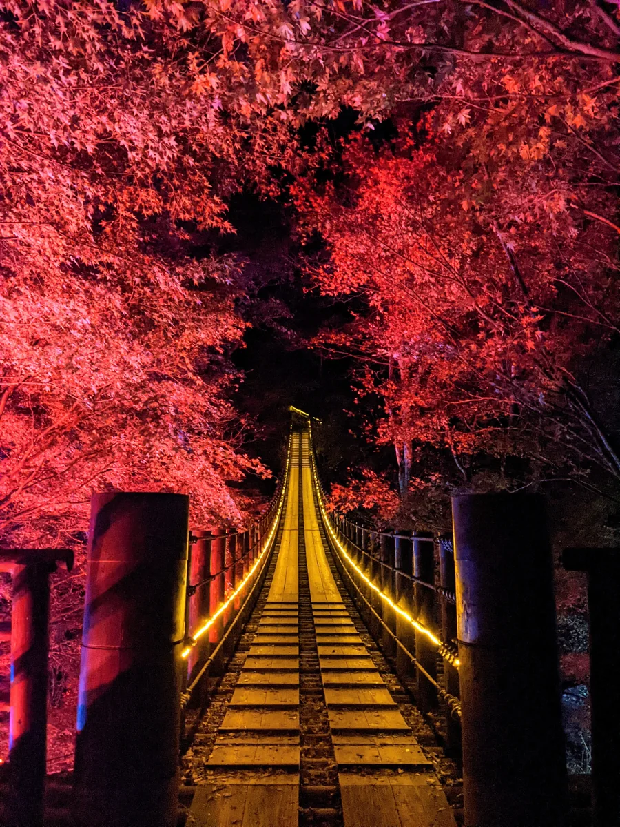 skydanceさんの投稿写真