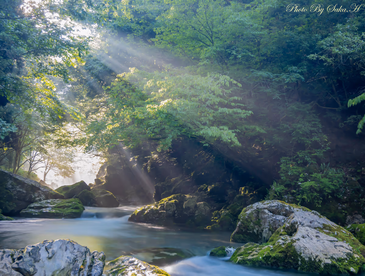 投稿写真：清流　円原川