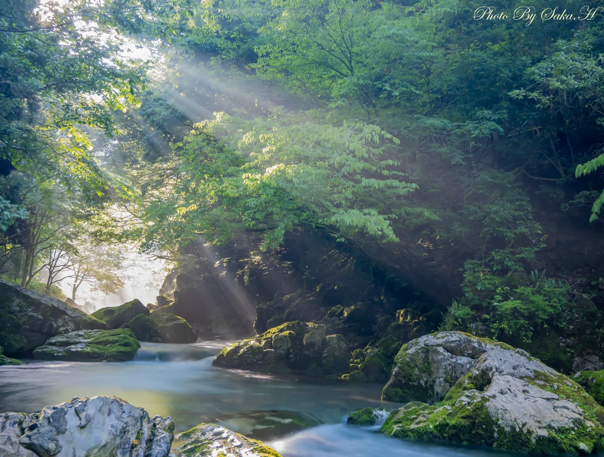 投稿写真：清流　円原川