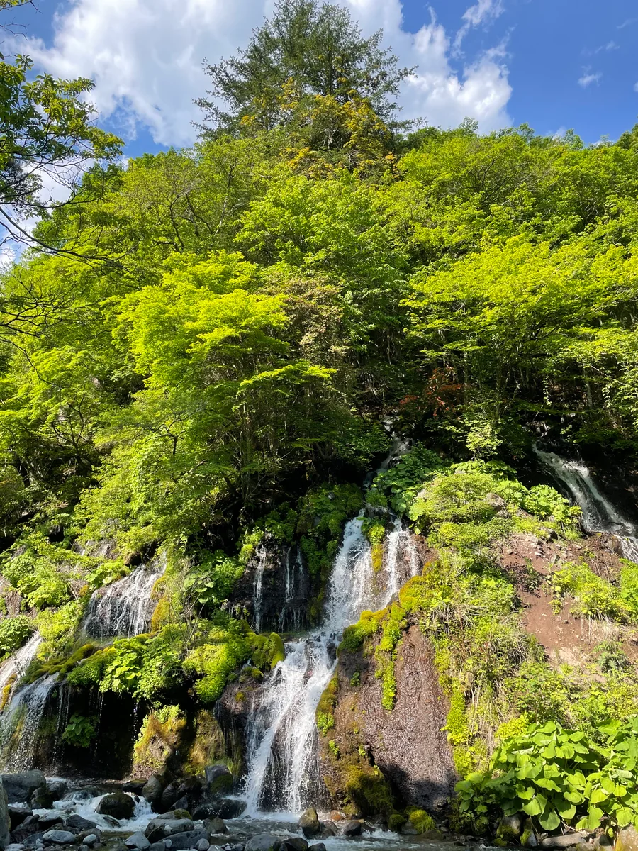 投稿写真：吐竜の滝