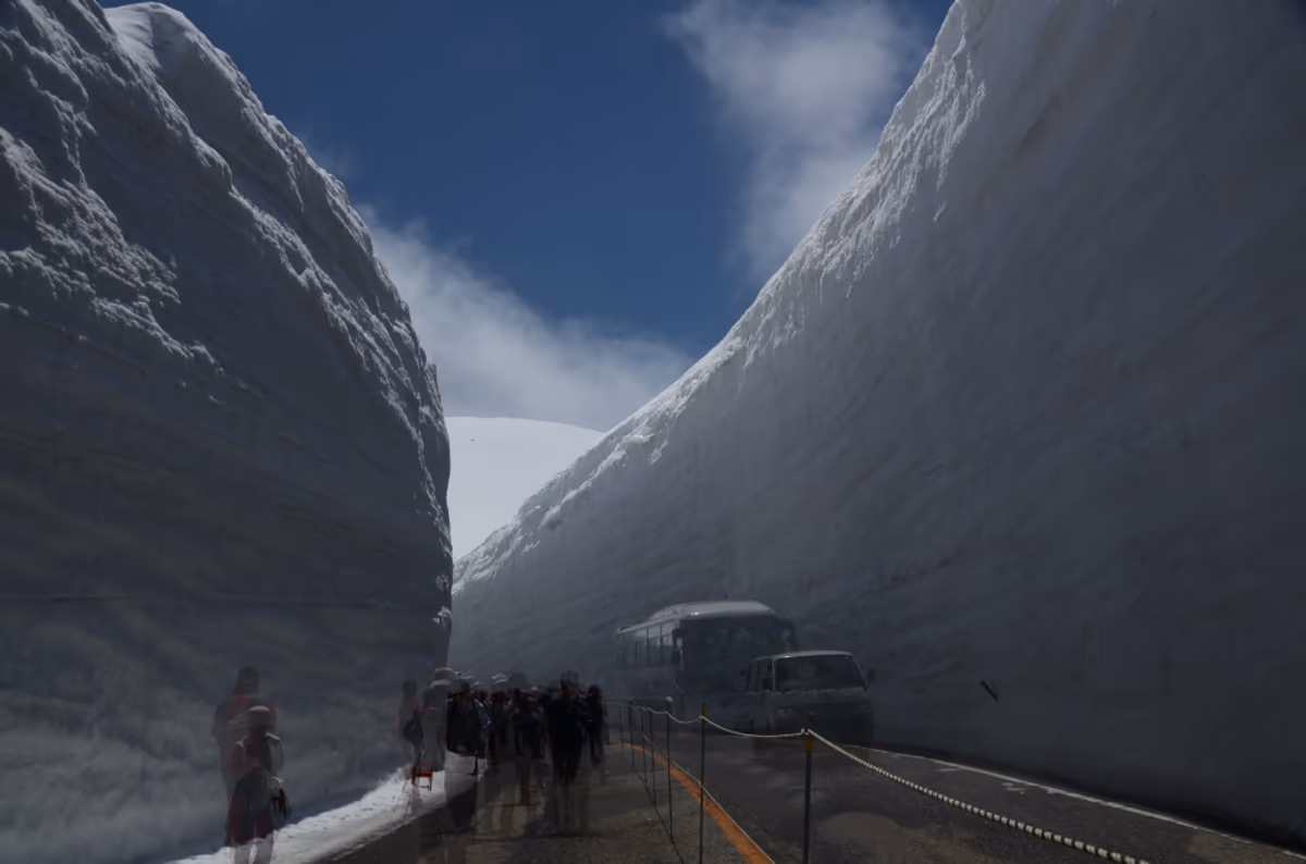 投稿写真：雪の大谷