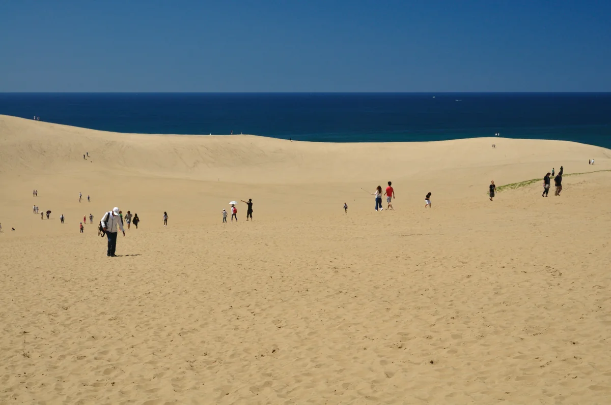 投稿写真：砂丘