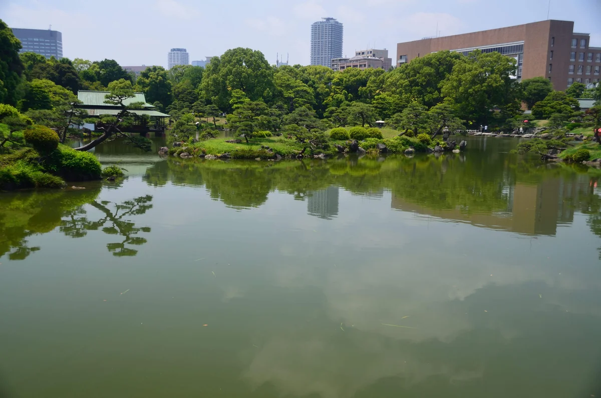 投稿写真：都会の緑映