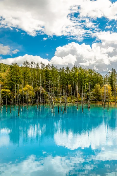 投稿：青い池と青空のリフレクション