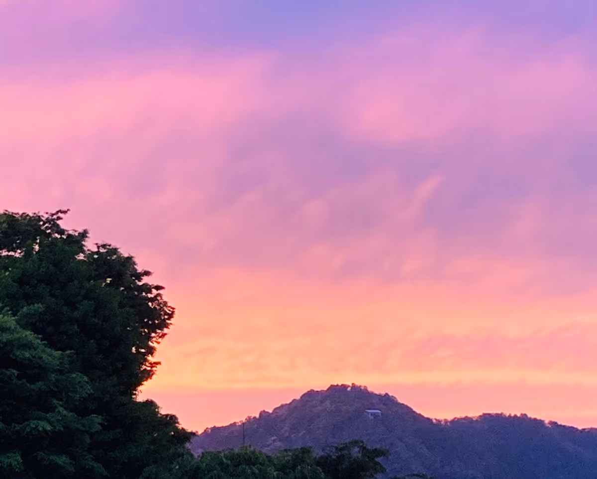 投稿写真：夕焼けの八幡山
