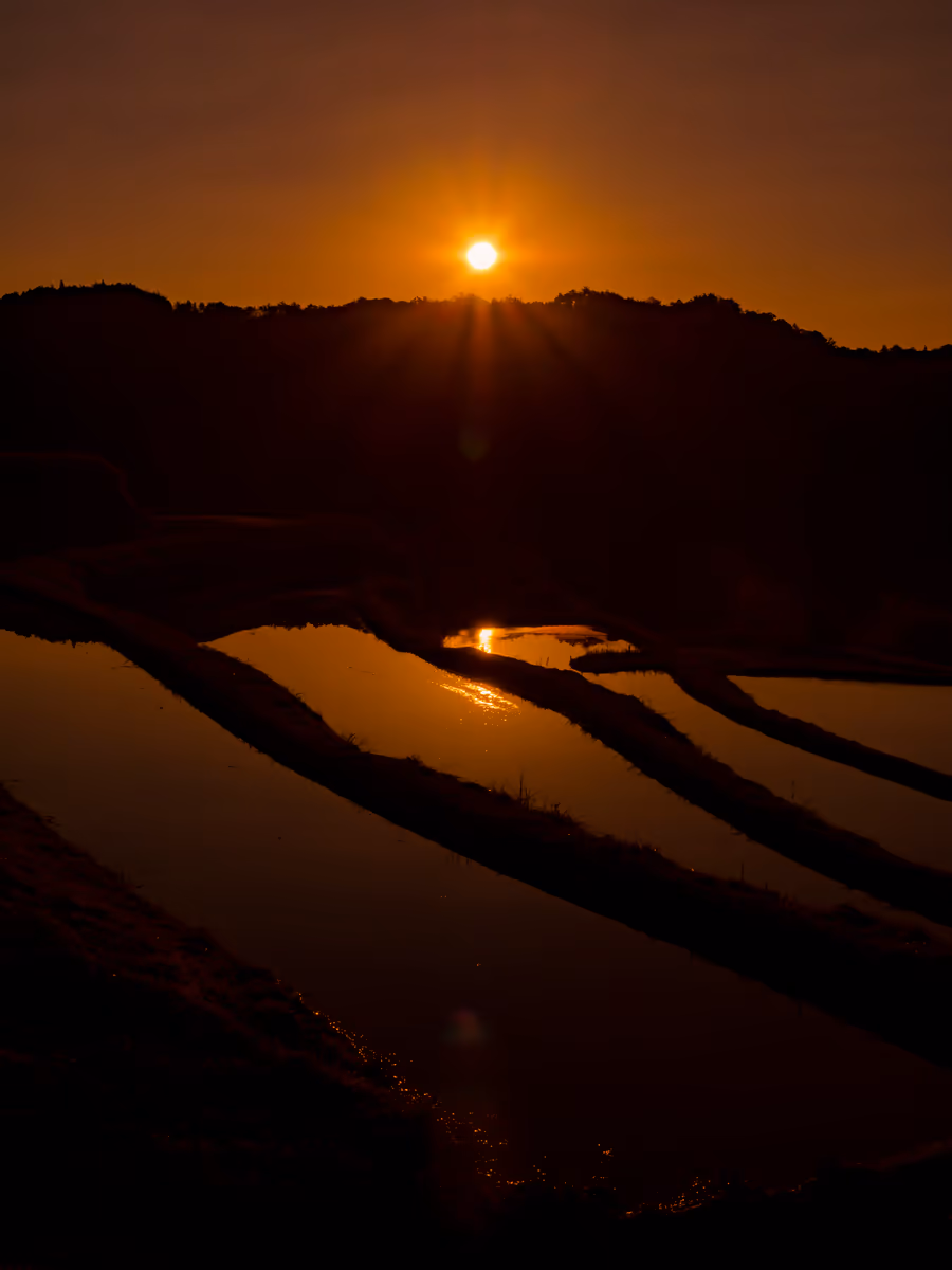 投稿写真：棚田の朝