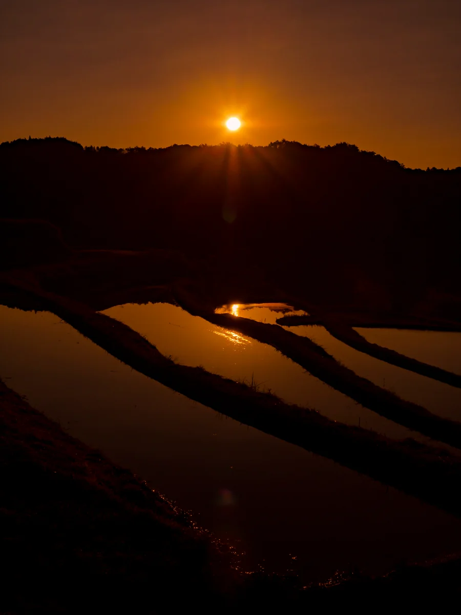 投稿写真：棚田の朝
