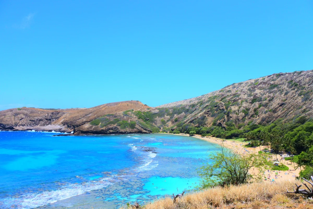 投稿写真：ハナウマ湾