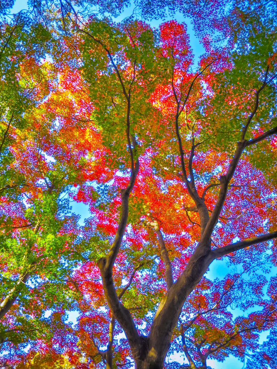 伊藤 和平さんの投稿写真