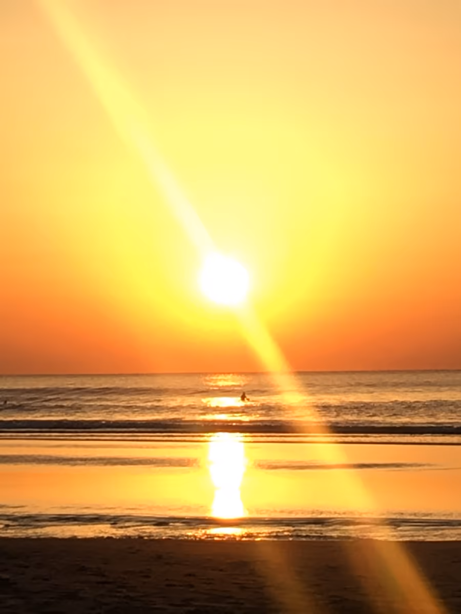 投稿写真：sun