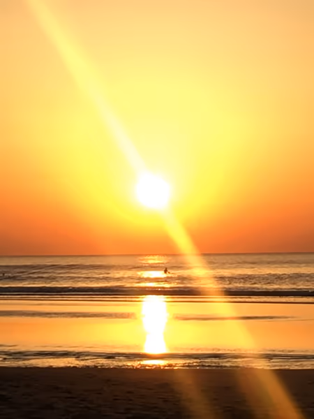 投稿：sun