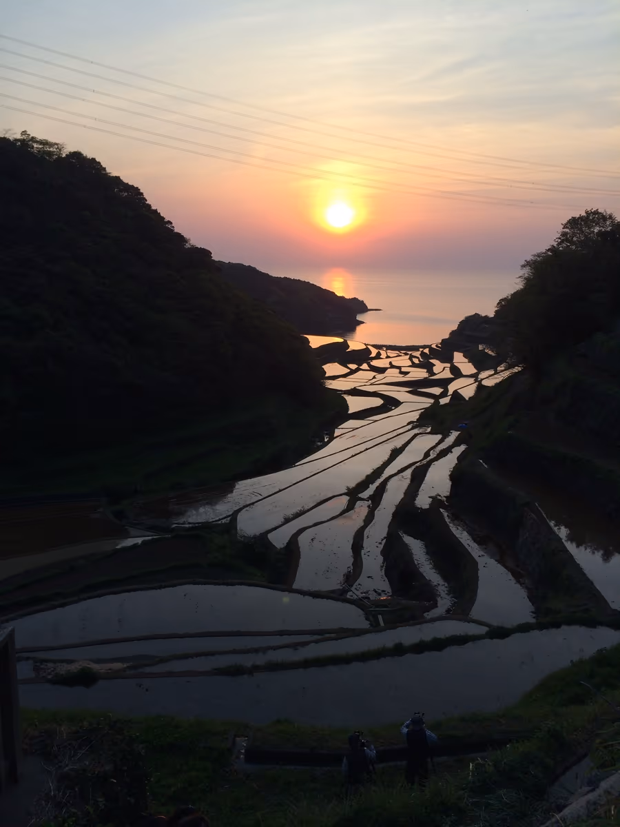 投稿写真：玄海町浜野浦の棚田