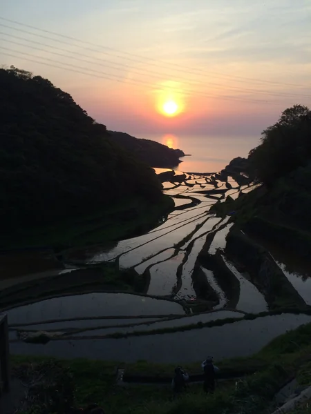 投稿：玄海町浜野浦の棚田