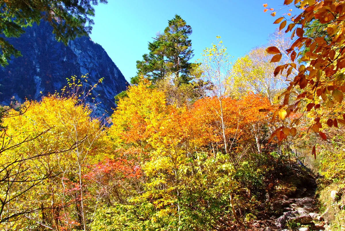 投稿写真：「秋の童話」上高地編