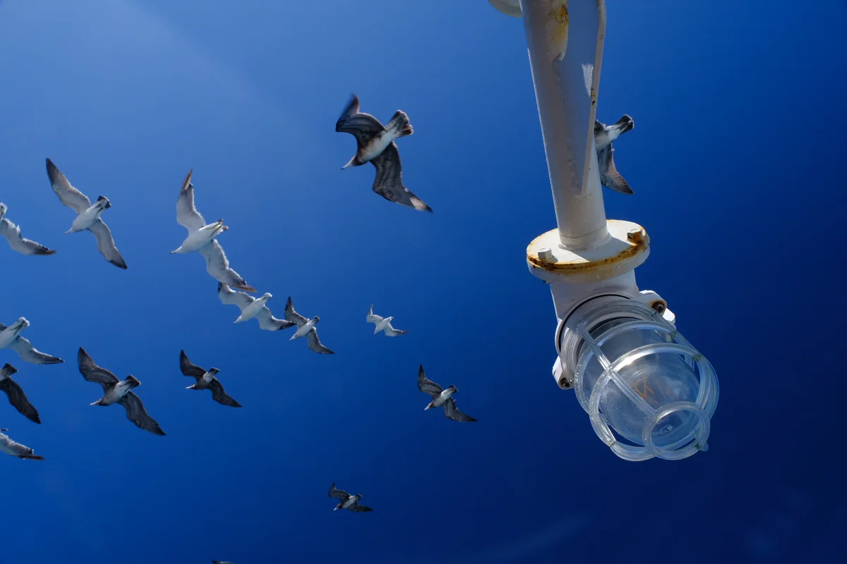 投稿写真：十里に成りたい