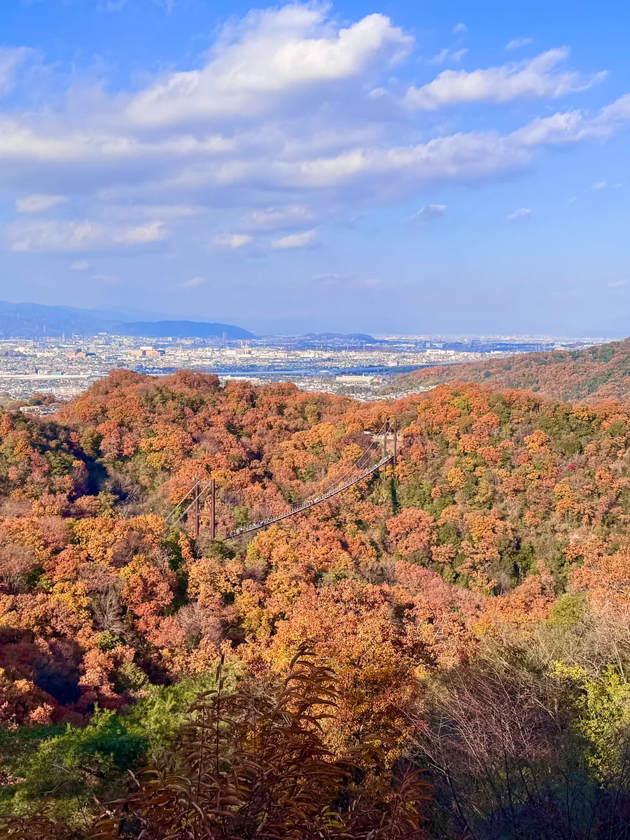 投稿写真：秋色🍁府民の森ほしだ園地と星のブランコ