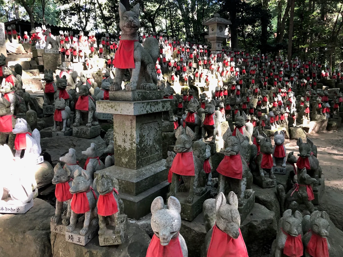 skataさんの投稿写真