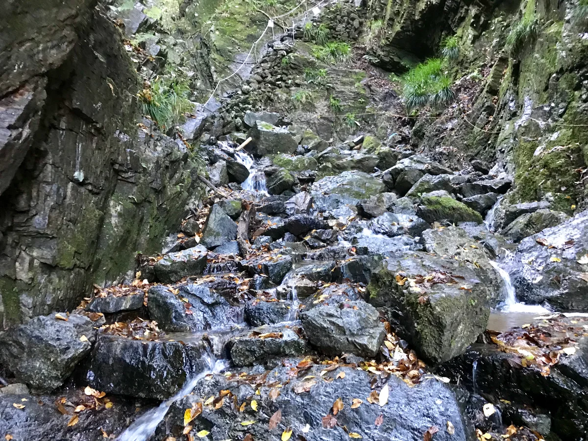 投稿写真：棒ノ折山（棒ノ嶺）のゴルジュ帯